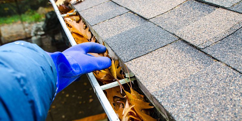 Why You Should Call Us for Our Gutter Cleaning Services